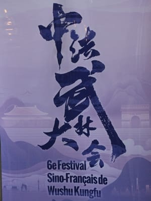 Festival Wushu 1