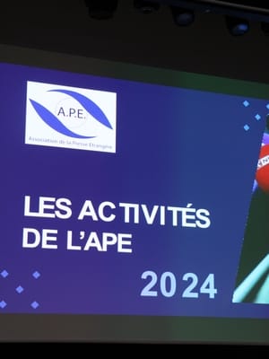 APE 1