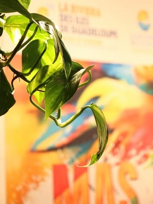 Salon de tourisme 1