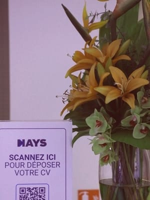 CEFC x HAYS 1b