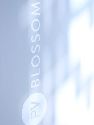 Blossom PV 1