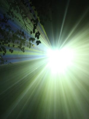 Lumieres de la Nature 1b