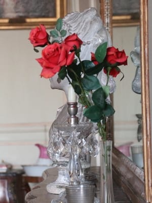 Chateau de Thoiry 1