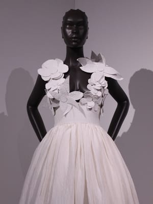 Africa Fashion 1
